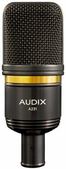 Audix A231