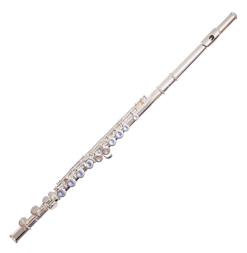 Trevor James TJ5x 3005EW - Příčná flétna